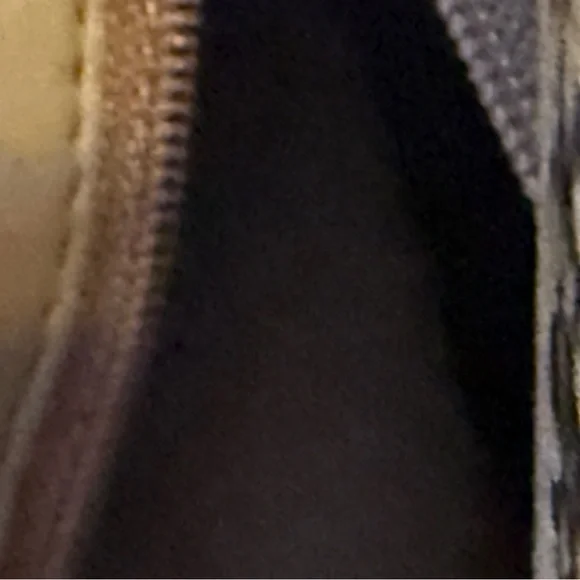 Pantera Snakeskin Clutch in Black and Brown with Gold Clasp- GUC - Picture 8 of 12